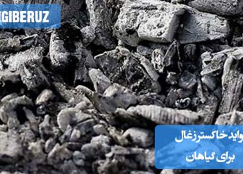 "فواید خاکستر زغال برای گیاهان شامل بهبود تهویه خاک، افزایش مواد مغذی و کنترل آفات طبیعی."