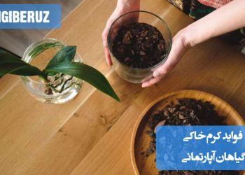 "فواید کرم خاکی در گلدان شامل بهبود تهویه خاک، افزایش حاصلخیزی و کمک به رشد سالم گیاهان."