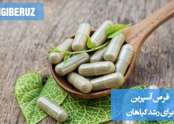 استفاده از قرص آسپرین برای رشد گیاهان: تاثیر آسپرین در تقویت سلامت و رشد گیاهان، افزایش مقاومت در برابر بیماریها و آفات با توجه به خواص ضد التهابی آن