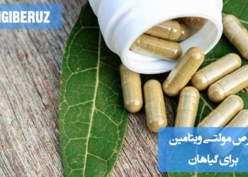 راهنمای استفاده از قرص مولتی ویتامین برای تقویت گیاهان آپارتمانی و افزایش رشد سالم آنها.