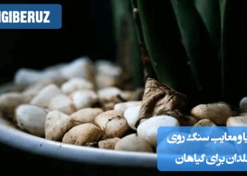 تصویر گلدانی با لایه‌ای از سنگ‌ریزه‌های تزئینی روی خاک، نشان‌دهنده مزایا و معایب استفاده از سنگ روی گلدان برای حفظ رطوبت، زیبایی بصری و تهویه مناسب خاک