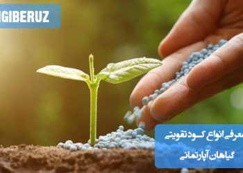 معرفی انواع کود تقویتی گیاهان آپارتمانی؛ کودهای ارگانیک و شیمیایی برای رشد بهتر و شادابی گیاهان داخل منزل
