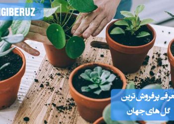 دستهای از پرفروشترین گلهای جهان شامل رز قرمز، لالههای رنگارنگ، ارکیده سفید و گل داوودی در یک ترکیب زیبا؛ نمایش محبوبترین و پرتقاضاترین گلها در بازار جهانی گل و گیاه.