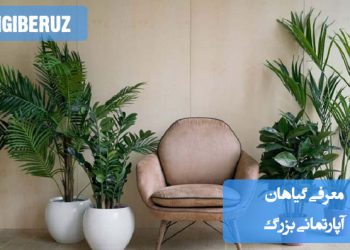 "معرفی گیاهان آپارتمانی بزرگ مناسب فضاهای داخلی با برگهای پهن و رشد سریع برای زیبایی بیشتر."