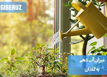 تصویری از گلدان‌های مختلف با گیاهان آپارتمانی در حال آبیاری، مناسب برای آموزش میزان صحیح آب‌دهی و جلوگیری از غرقاب شدن خاک یا خشکی بیش‌ازحد گیاه