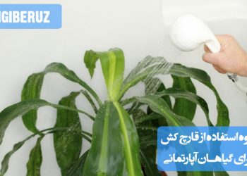 نحوه استفاده از قارچ کش برای گیاهان آپارتمانی، شامل دوز مناسب، زمان مصرف و نکات ایمنی برای جلوگیری از آسیب به گیاه و محیط.