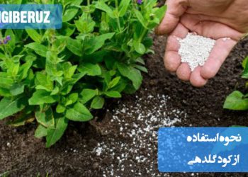 آموزش استفاده صحیح از کود گلدهی در منزل