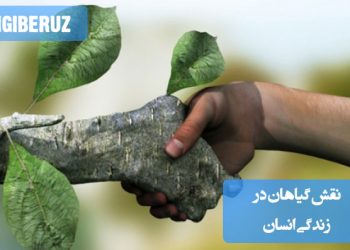 نقش گیاهان در زندگی انسان، شامل تأمین غذا، دارو، اکسیژن و زیبایی طبیعی، بهبود کیفیت هوا و حفظ تعادل زیستمحیطی.