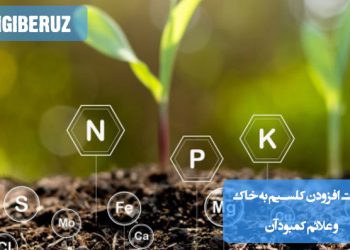آموزش روشهای صحیح افزودن کلسیم به خاک و تأثیر آن بر سلامت گیاهان