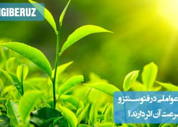 "عوامل موثر در فتوسنتز و سرعت آن شامل نور، دما، مقدار دی‌اکسید کربن و رطوبت محیط گیاه است."