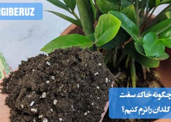 روش‌های نرم کردن خاک سفت گلدان با افزودن خاک سبک، کمپوست و زهکشی مناسب برای بهبود رشد گیاهان.
