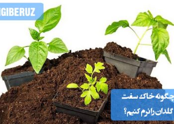 "روشهای نرم کردن خاک سفت گلدان با افزودن مواد آلی، ماسه، و تهویه مناسب برای رشد بهتر گیاهان آپارتمانی."