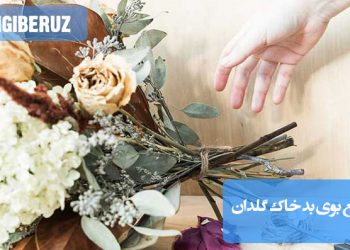 آموزش فریز کردن دسته گل برای حفظ زیبایی و تازگی آن، با روش‌های صحیح و نکات مهم در فرآیند.