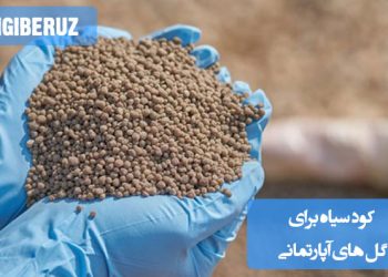 "کود سیاه برای گلهای آپارتمانی: تقویت رشد و بهبود خاک برای گلهای داخلی"