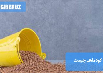 کود ماهی بهعنوان تقویتکننده طبیعی برای رشد صحیح گیاهان آپارتمانی، با فواید تغذیهای برای خاک و گیاهان.