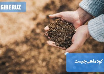 "کود ماهی به‌عنوان کود طبیعی ارگانیک، مزایایی مثل تقویت رشد گیاه، بهبود کیفیت خاک و افزایش مقاومت گیاه دارد."