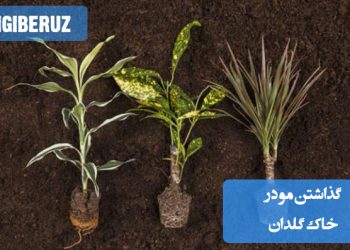 "فواید گذاشتن مو در خاک گلدان برای بهبود ساختار خاک و افزایش مواد آلی مفید در رشد گیاهان."