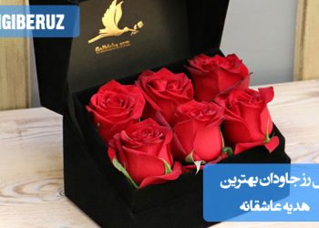 گل رز جاودان با گلبرگهای قرمز روشن، بهعنوان هدیهای عاشقانه در گلدان شیک؛ نمایش نمادی از عشق پایدار و یادگاری که برای همیشه ماندگار میماند.