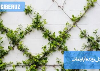 تصویر گل‌های رونده آپارتمانی با رشد عمودی و برگ‌های زیبا، مناسب برای فضای محدود خانه‌های کوچک و آپارتمان‌های کم‌نور