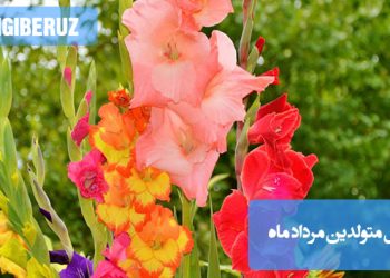 گلهای رنگارنگ از نوع گل لاله و آفتابگردان، نماد گلهای متولدین مرداد ماه؛ نمایش شکوفههای زرد و نارنجی روشن که به شخصیت شجاع و پرانرژی متولدین مرداد ماه اشاره دارند.