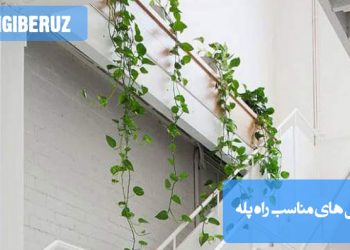 "معرفی گل‌های مناسب راه پله با قابلیت رشد در نور کم و زیبایی چشم‌نواز."