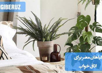 گیاهان مضر برای اتاق خواب: لیستی از گیاهان خانگی که ممکن است برای سلامتی خواب مضر باشند، مانند گیاهان سمی یا گیاهانی که بهطور غیرمستقیم باعث مشکلات تنفسی میشوند