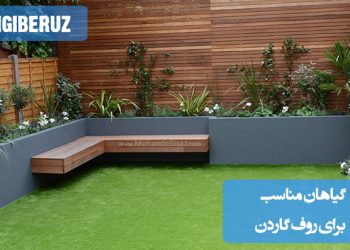 معرفی گیاهان مناسب برای روف گاردن که به زیبایی و عملکرد بهتر فضای باز کمک می‌کنند.