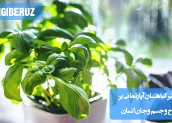 "تاثیر مثبت گیاهان بر روح و روان انسان از طریق کاهش استرس، افزایش آرامش و بهبود کیفیت هوا."