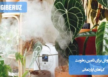 تأمین رطوبت گیاهان آپارتمانی با روش‌هایی همچون استفاده از مرطوب‌کننده هوا، اسپری آب روی برگ‌ها، قرار دادن گلدان‌ها در سینی سنگریزه با آب، و گروه‌بندی گیاهان برای حفظ رطوبت بهتر ممکن است.