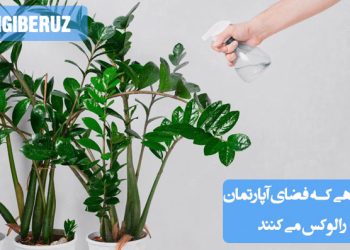 ۹ گیاه آپارتمانی که میتوانند فضای داخلی منزل شما را لوکس و زیبا کنند، از جمله گیاهانی که علاوه بر زیبایی، فوایدی مانند تصفیه هوا و افزایش آرامش را نیز به ارمغان میآورند.