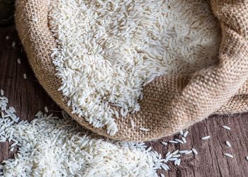 بررسی تخصصی ویژگیهای برنجهای ایرانی شمال کشور شامل عطر، قد، طعم و نحوه پخت