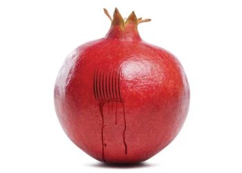 حجامت،فواید حجامت-بهترین زمان بین دو حجامت ،تقویم حجامت 1404،تقویم حجامت،دیجی به روز،بزرگترین سایت مقالات طب سنتی در ایران