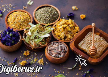 درمان مشکلات جنسی و زودانزالی در طب امام صادق (ع) | راهکارهای عملی درمان زود انزالی